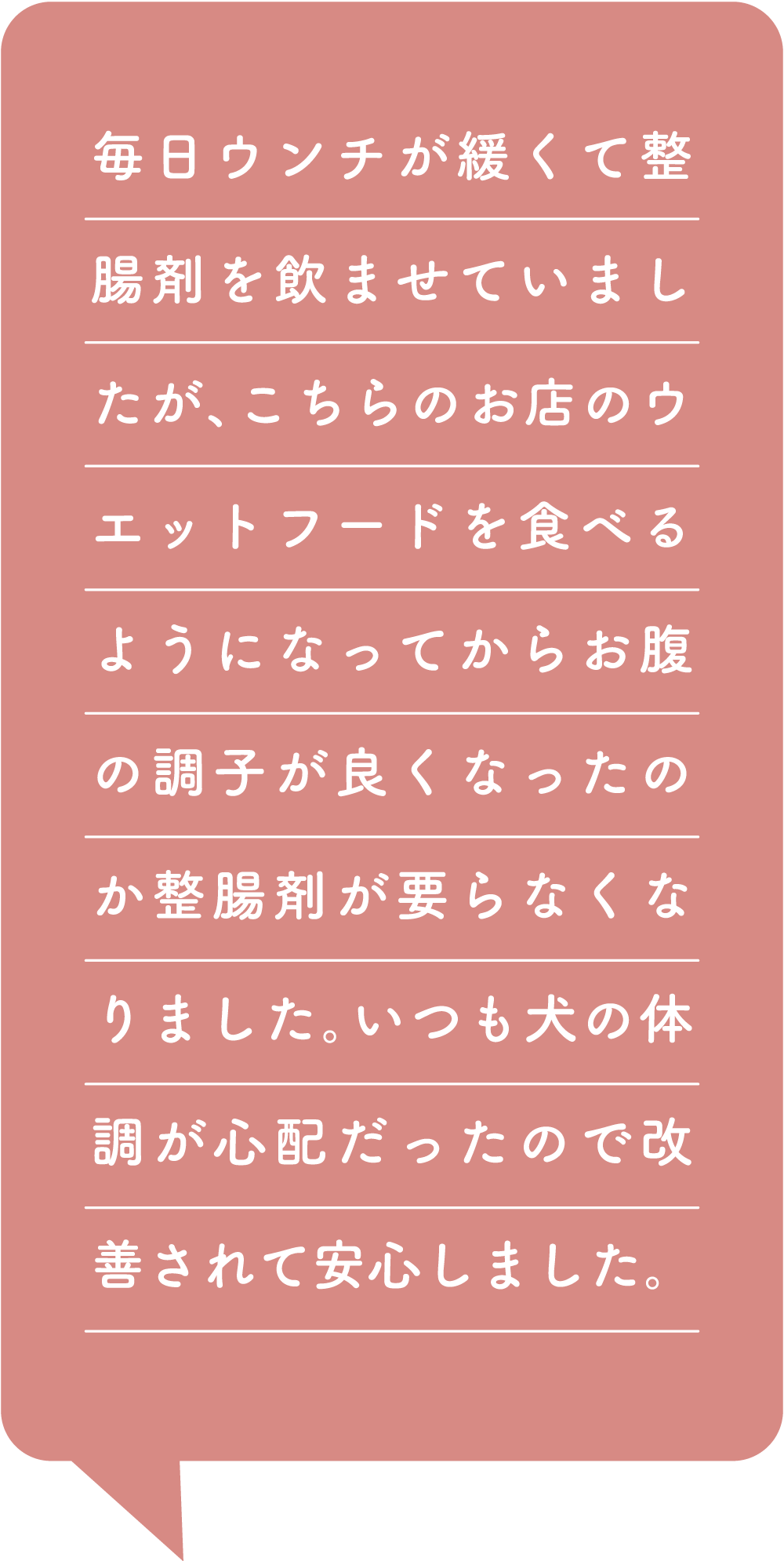 ウェットフードの効用